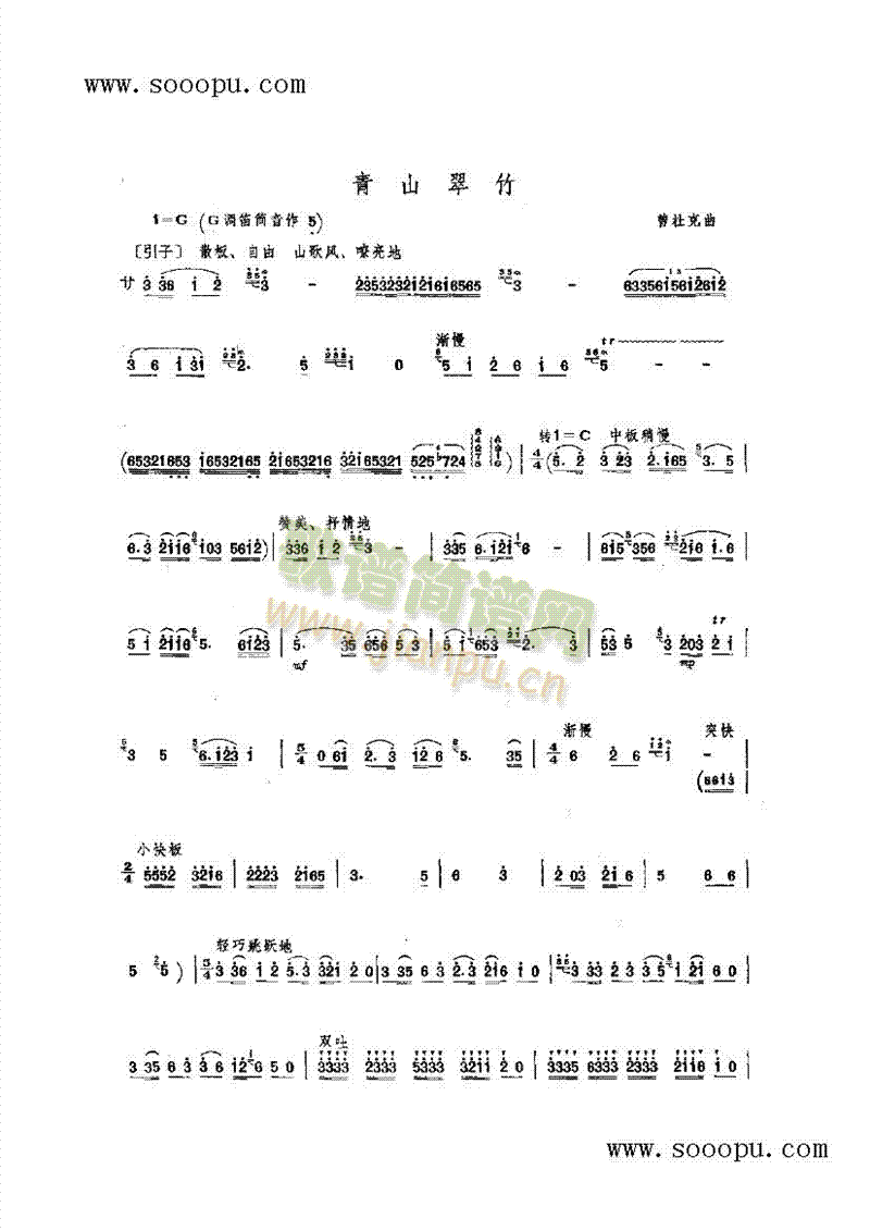 青山翠竹 民乐类 竹笛1