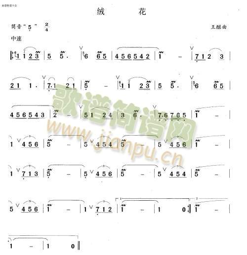 绒花1