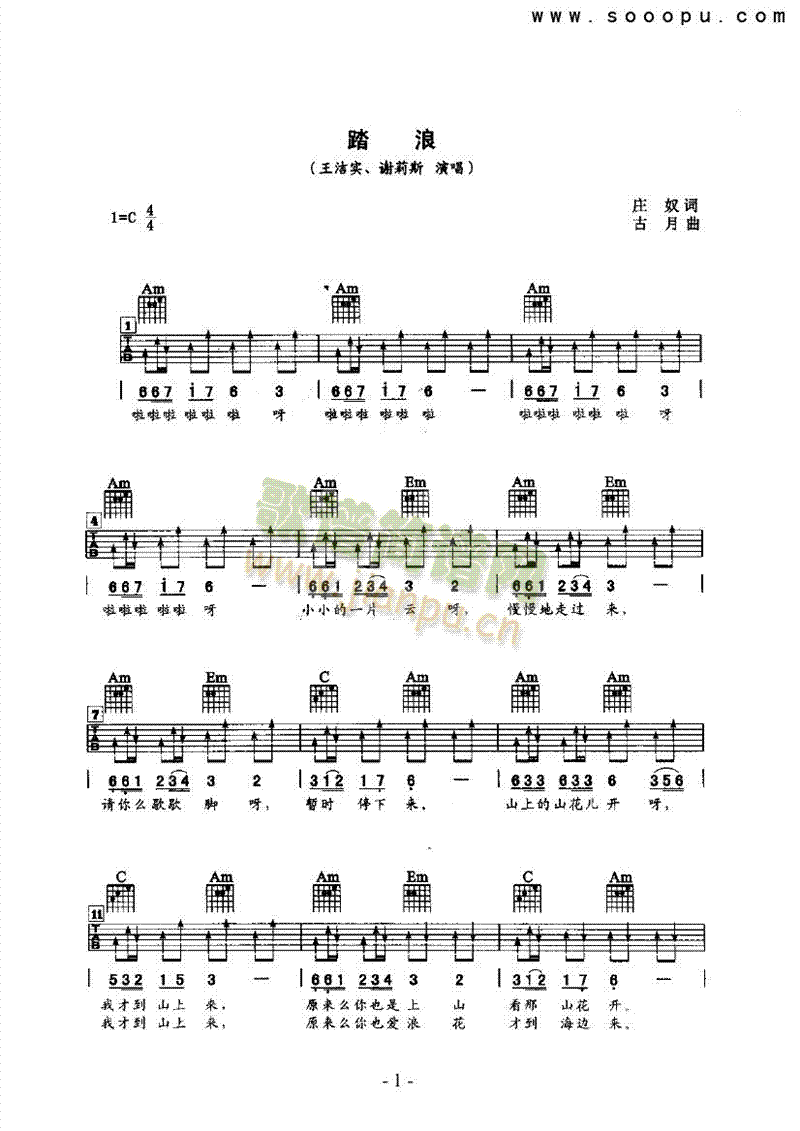 踏浪 吉他类 流行1