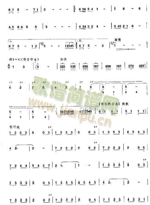 柳林晨光2