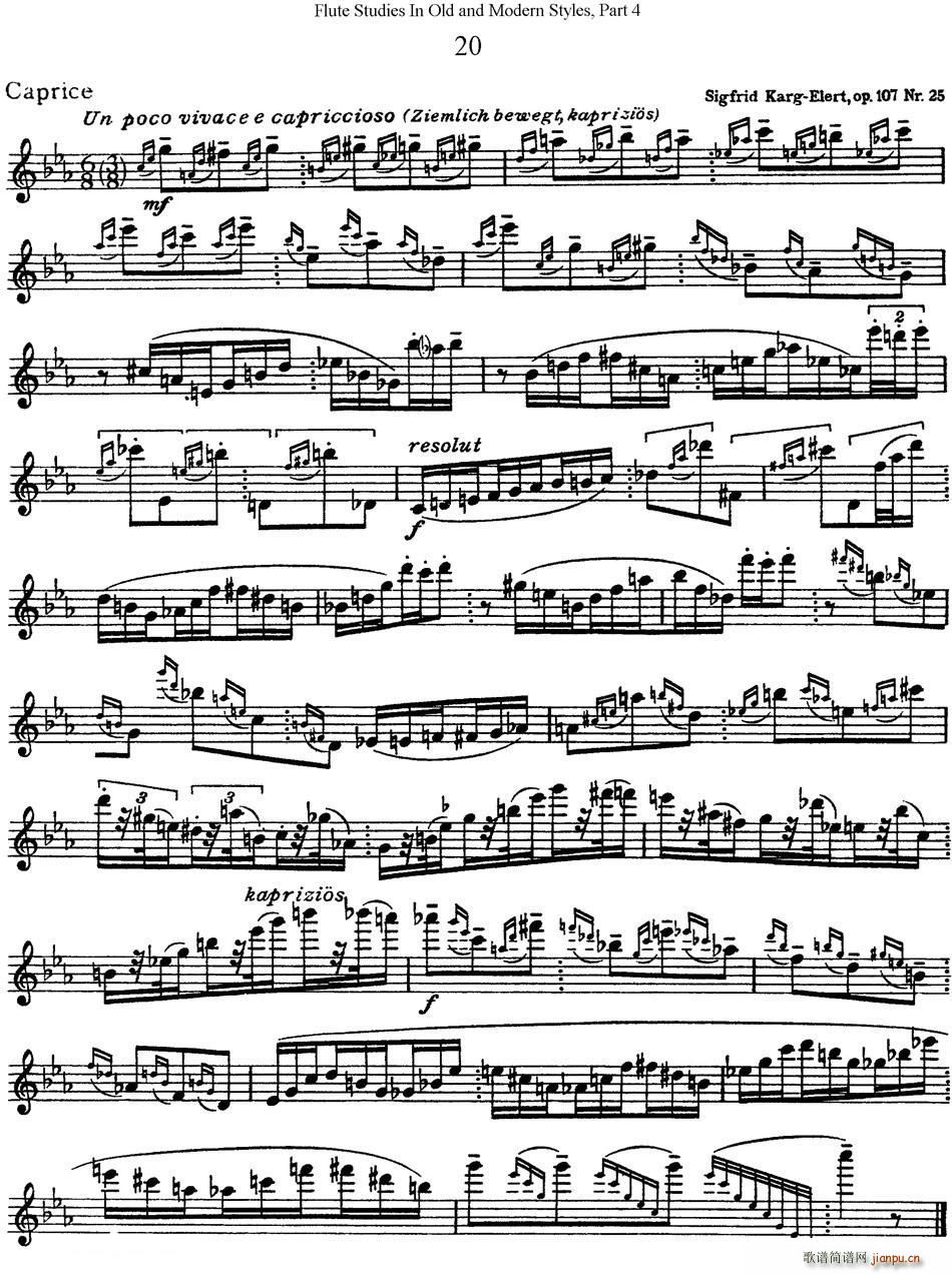 斯勒新老风格长笛练习重奏曲(第四部分)(NO 20)1