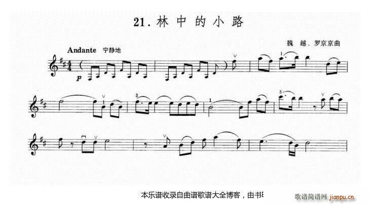 小提琴林中的小路1
