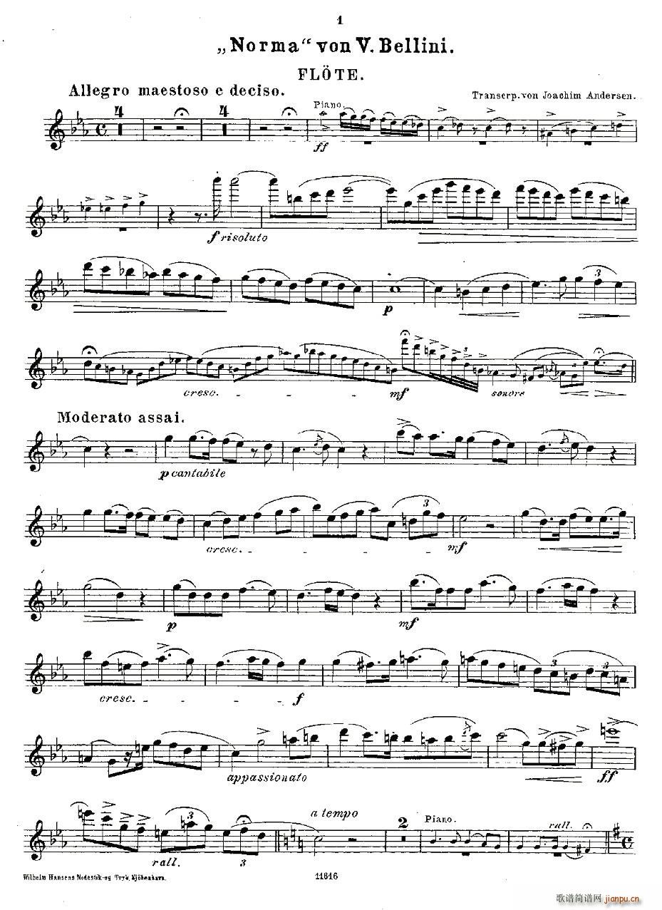 Opern-Transcriptionen.Op.45-2（长笛+钢琴伴奏）11