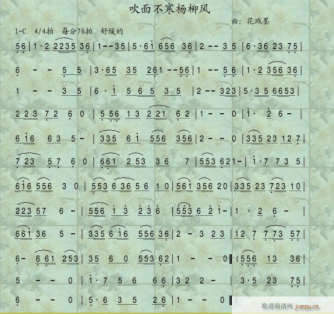 箫曲合韵 ---《吹面不寒杨柳风》1