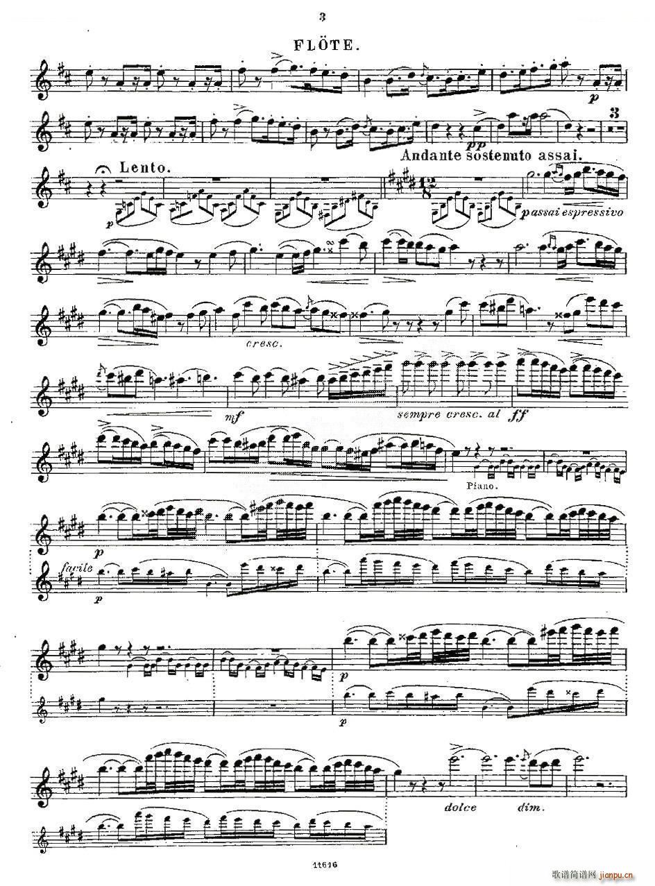 Opern Transcriptionen Op 45 2 笛萧谱3