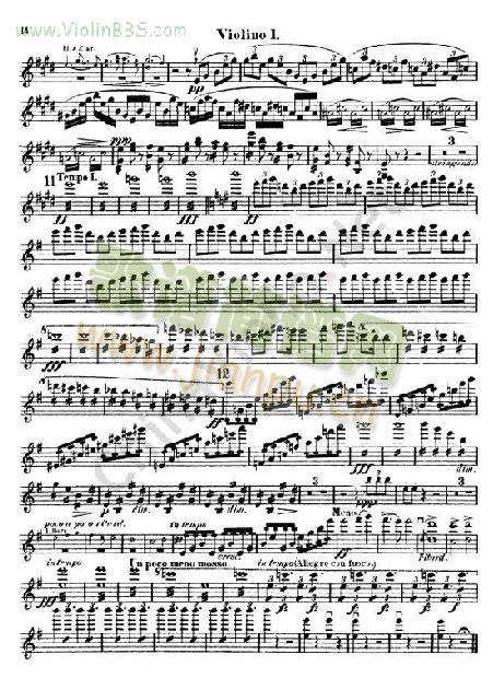Symphony No.9 in E Minor. Op.95 (New World)第一小提琴13