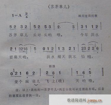 苏茅草儿 （四川宜宾民歌）_四川宜宾民歌1