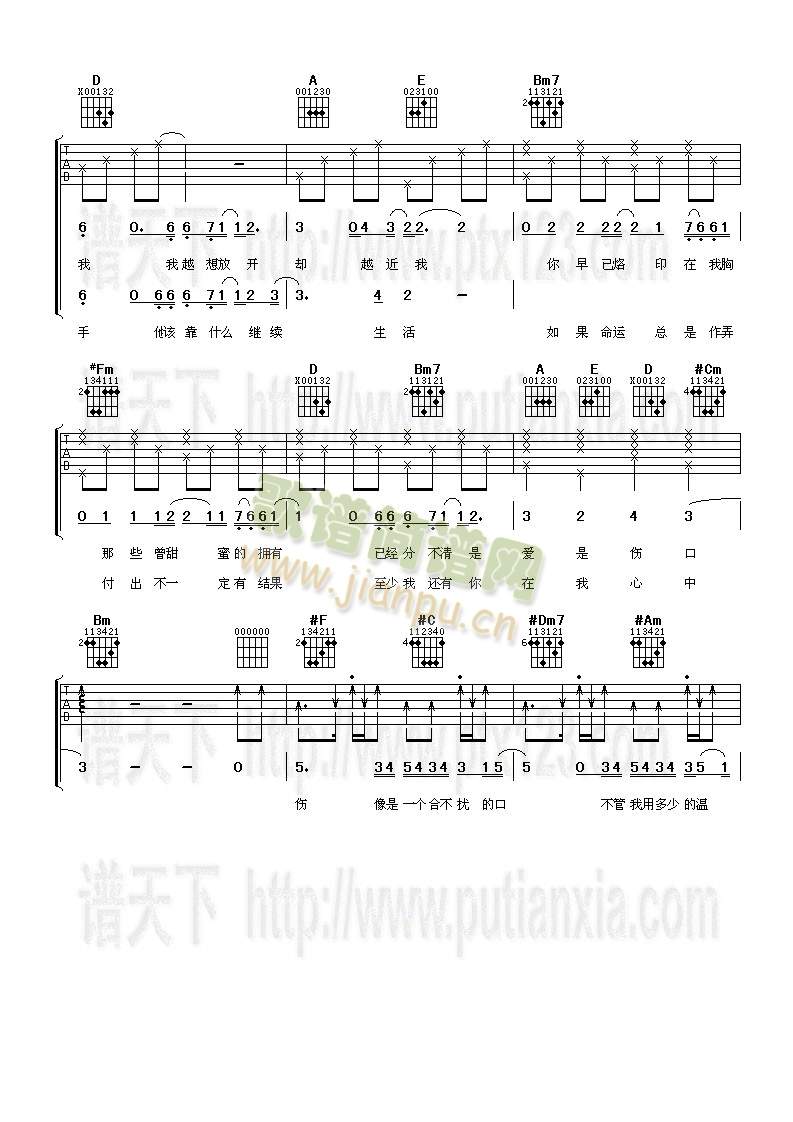 爱在你伤口2