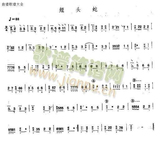 短头蛇1