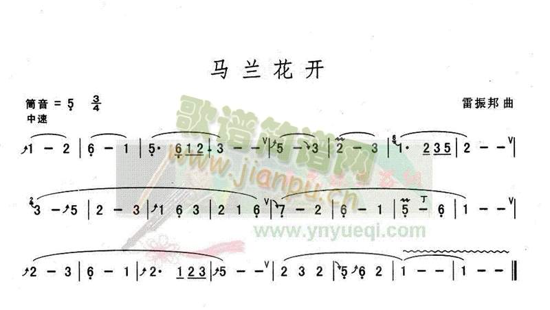 马兰花开1