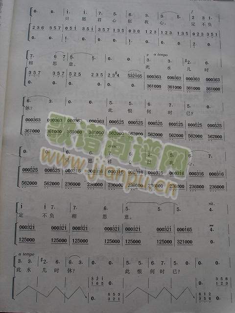 我住长江头4