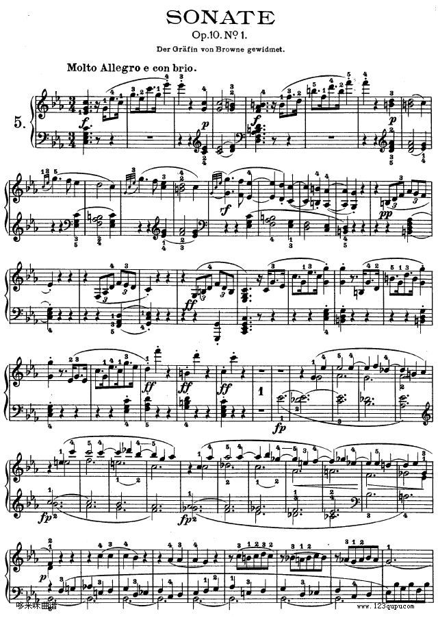 C小调第五钢琴奏鸣曲 - Op. 10―1-贝多芬1