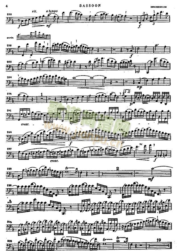 bassoon4