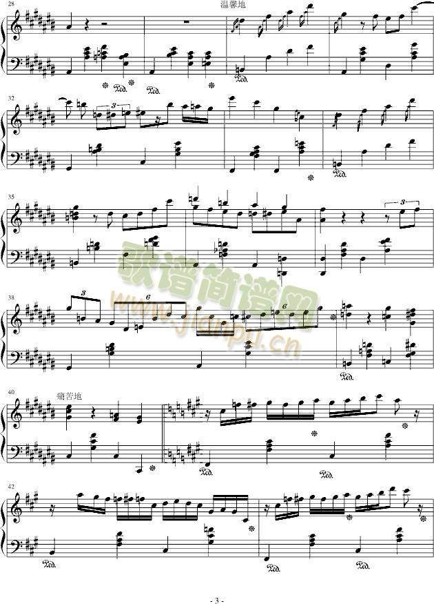 大夜洛之夜曲3