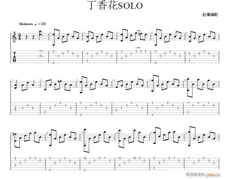 丁香花SOLO_唐磊1