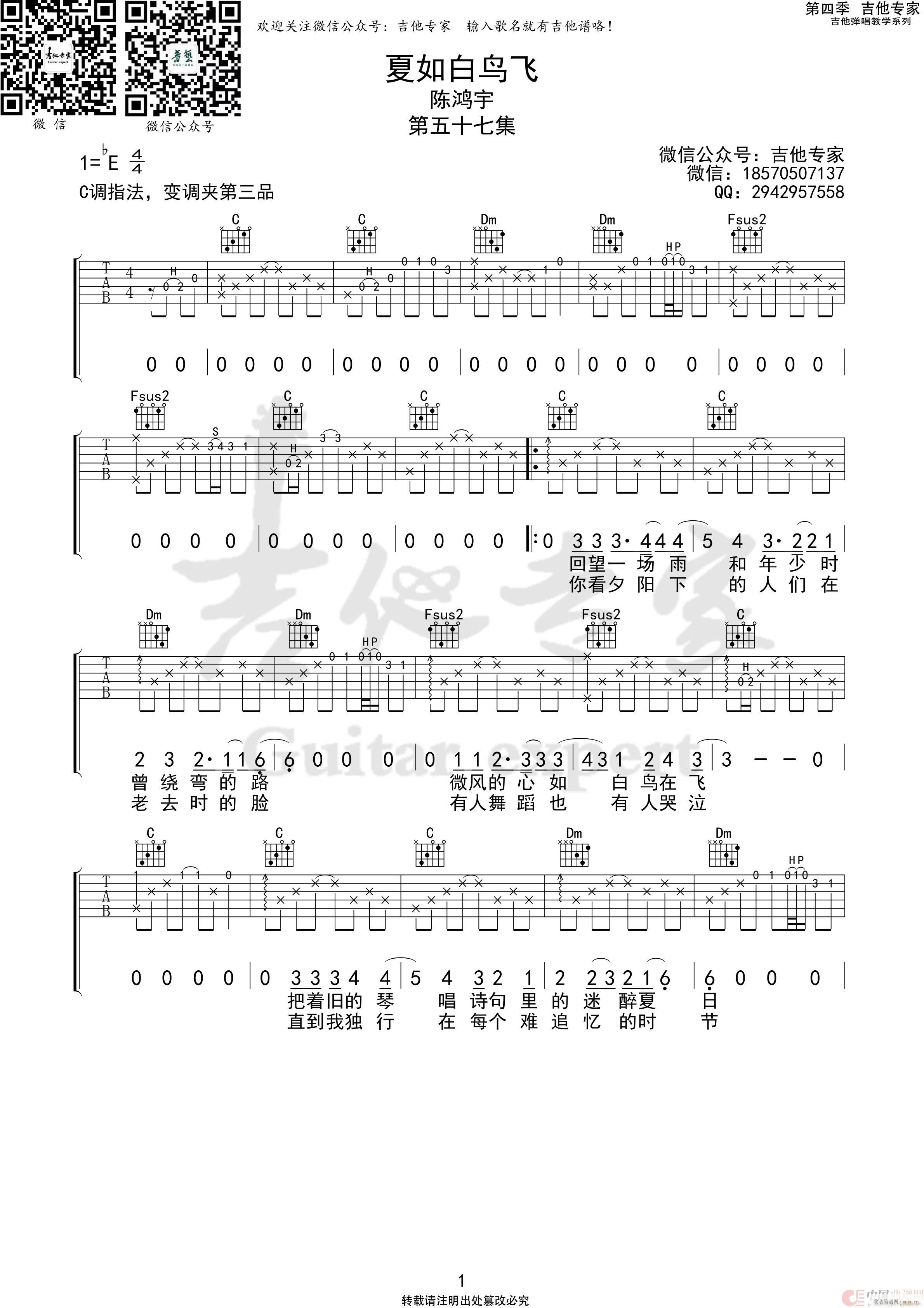 夏如白鸟飞1