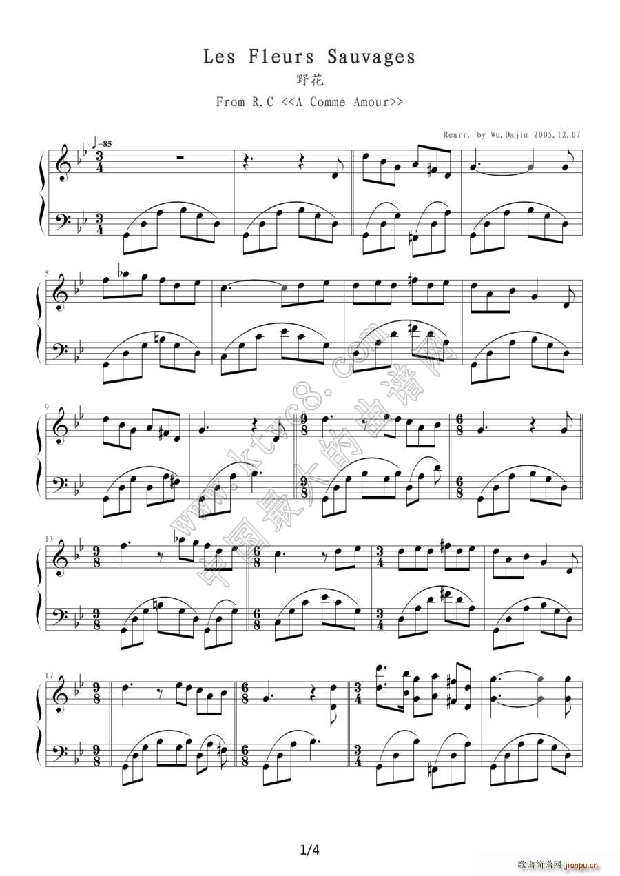 Les Fleurs Sauvages （野花）1