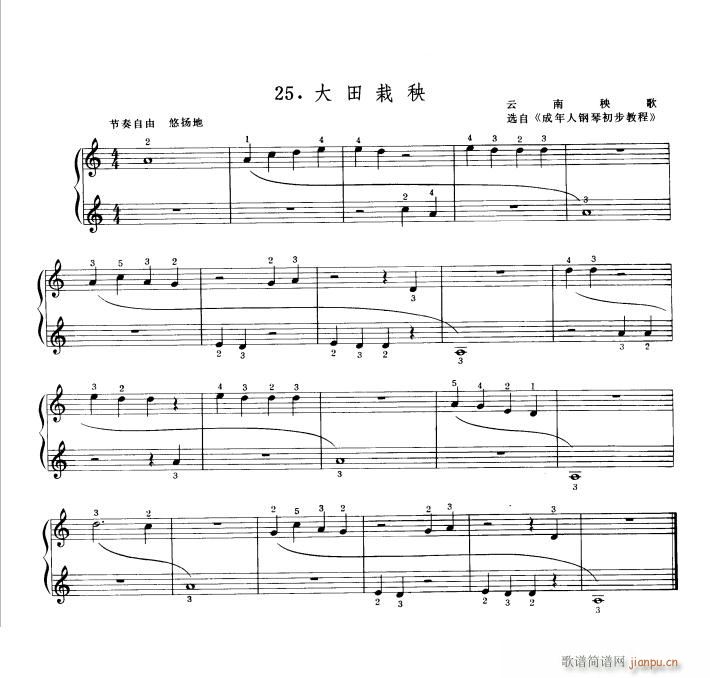 大田栽秧1