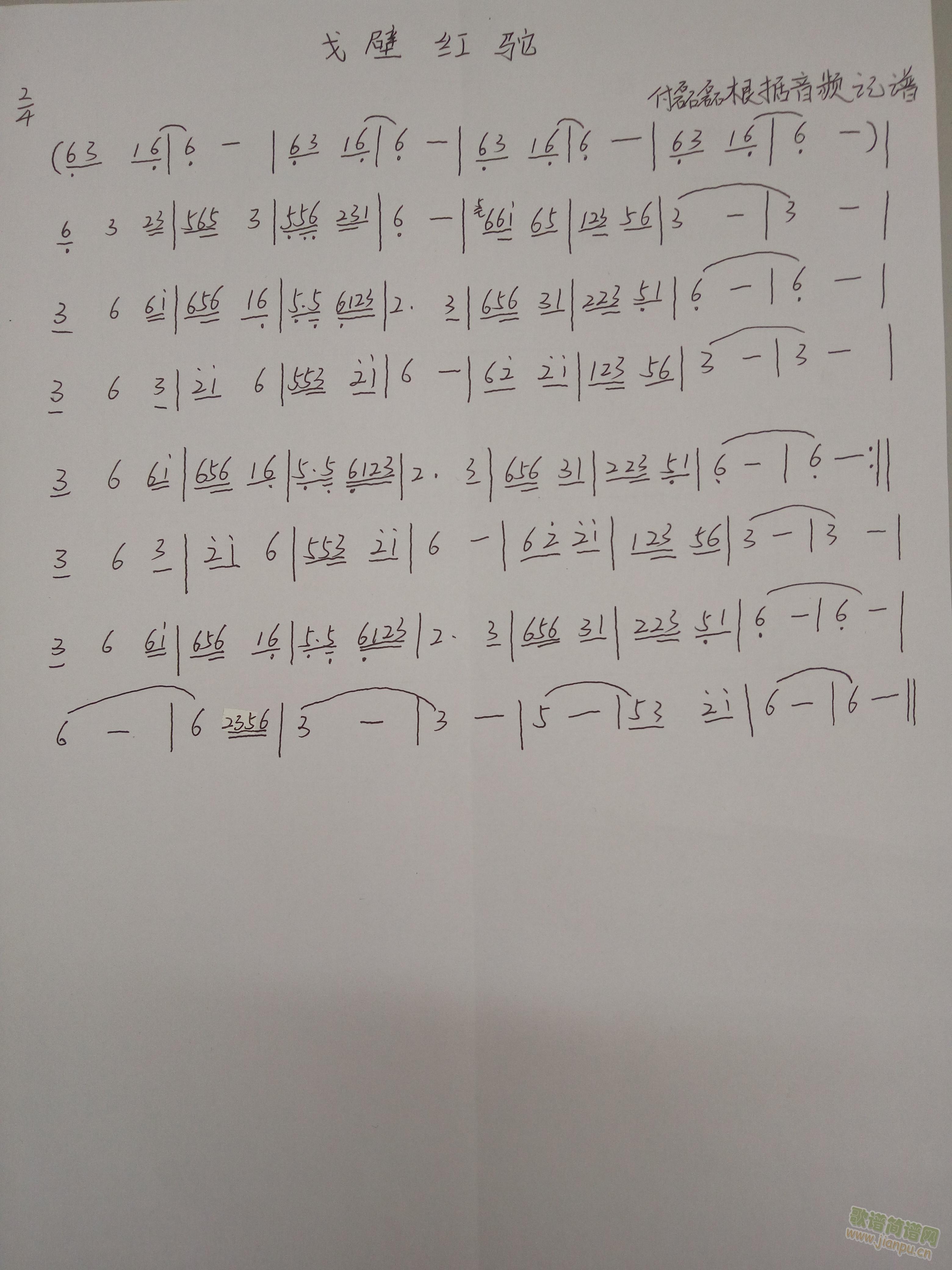 戈壁红驼1