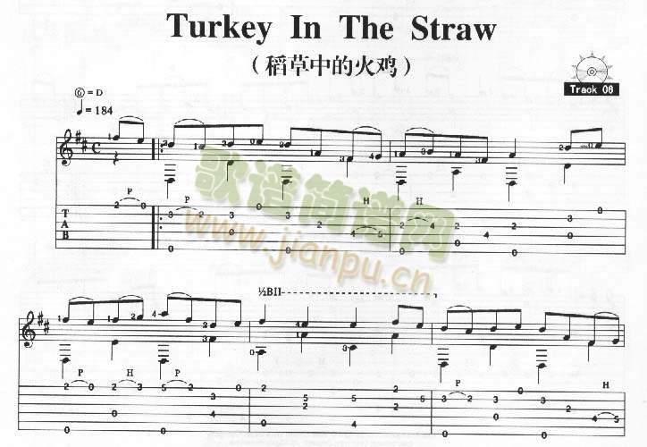 Turkey In The Straw-稻草中的火鸡1