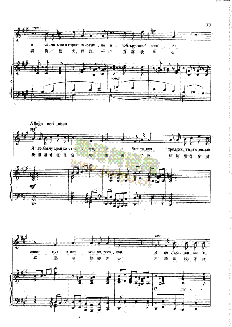 珊瑚(钢伴) 歌曲类 钢琴伴奏谱5