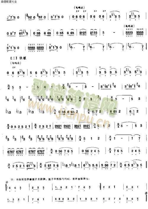 百鸟音2