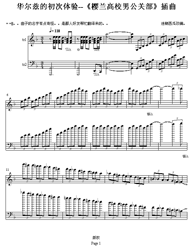华尔兹的初次体验1