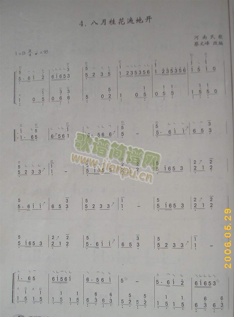 八月桂花遍地开1