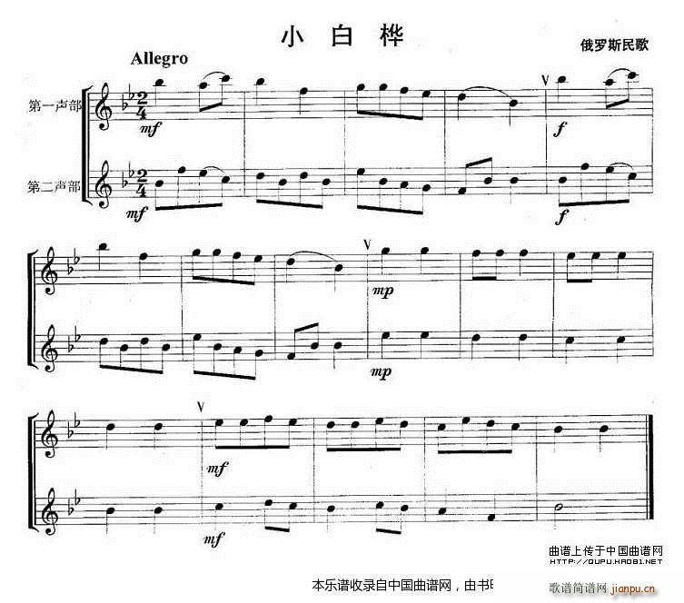 小白桦（重奏） 长笛谱1