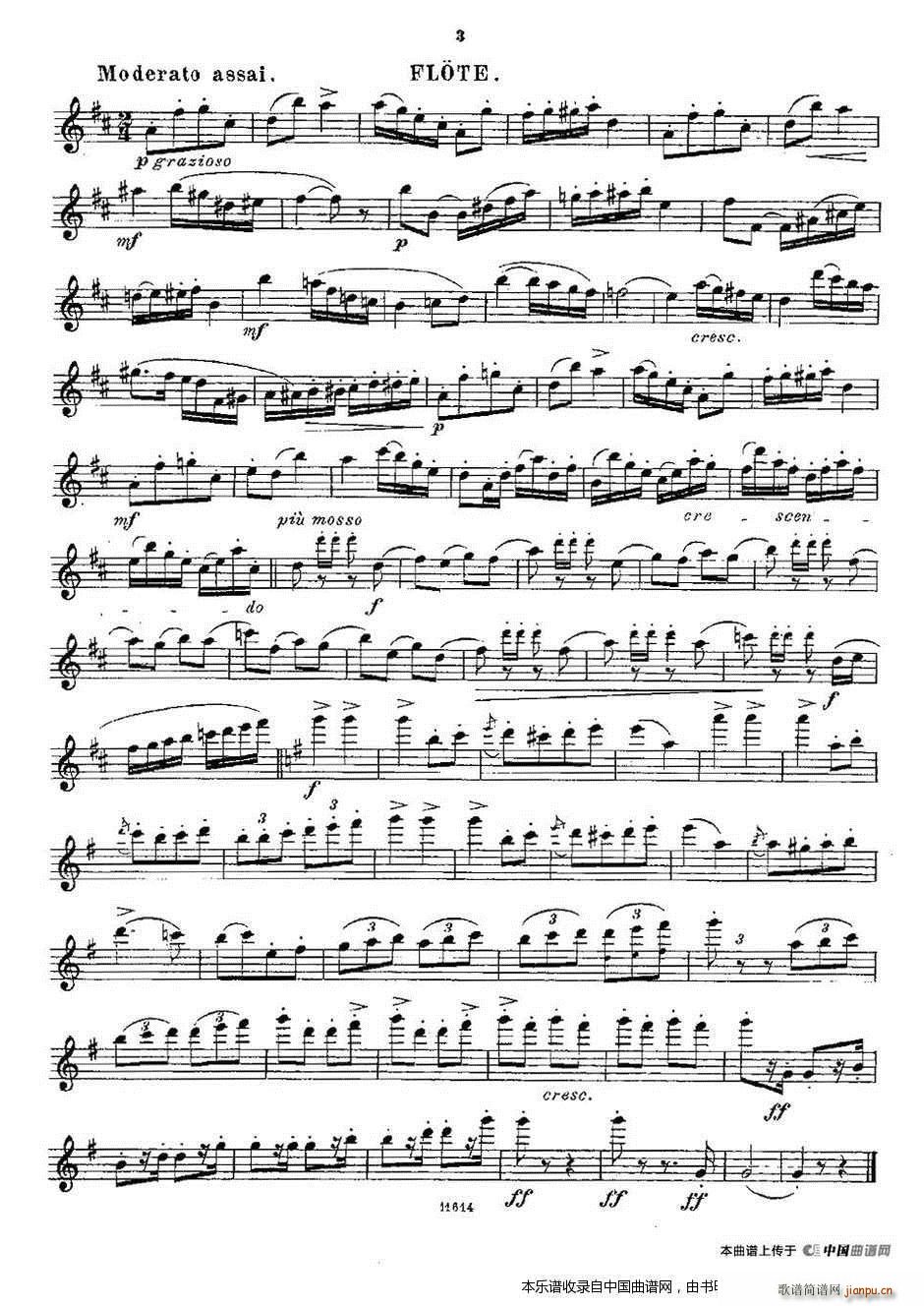 Opern-Transcriptionen Op 45-4 长笛谱3