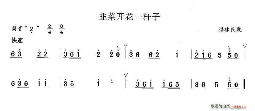 韭菜开花一竿子1