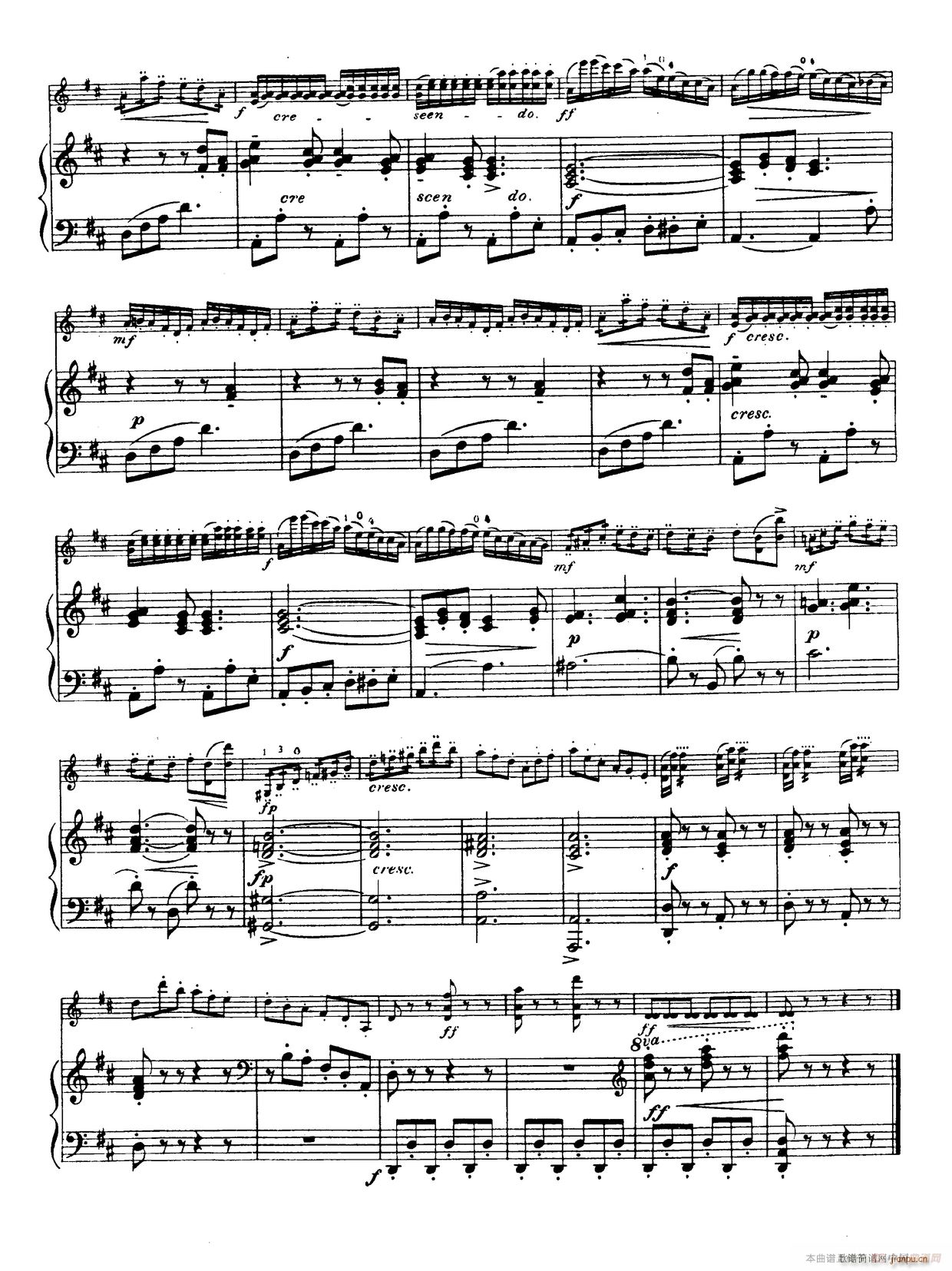 D大调学生协奏曲（塞茨作品第15号）13