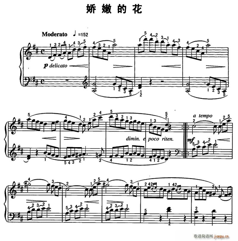 娇嫩的花1