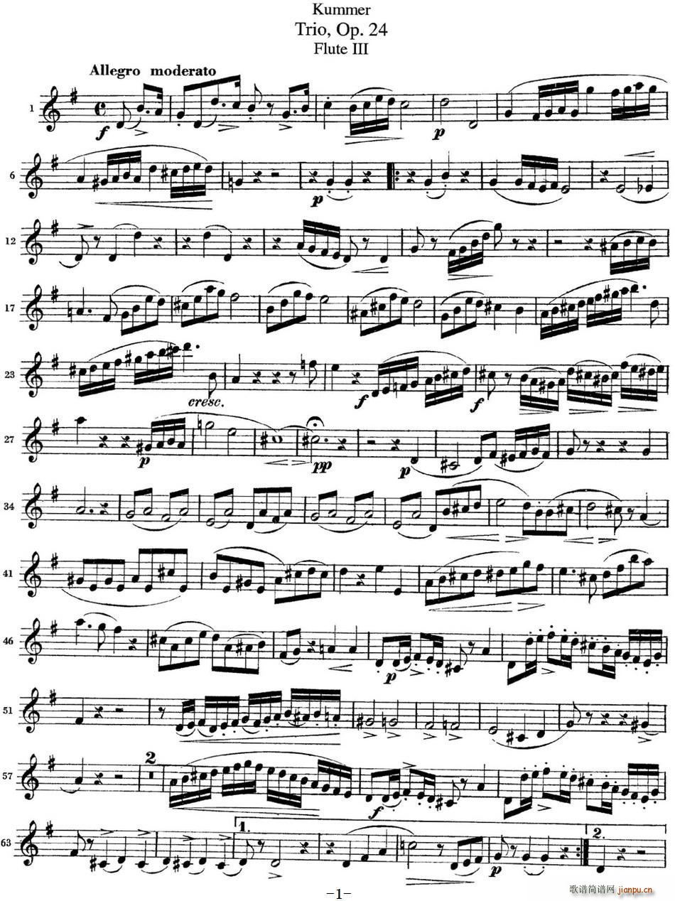 库默长笛三重奏Op 24(Flute 3)1