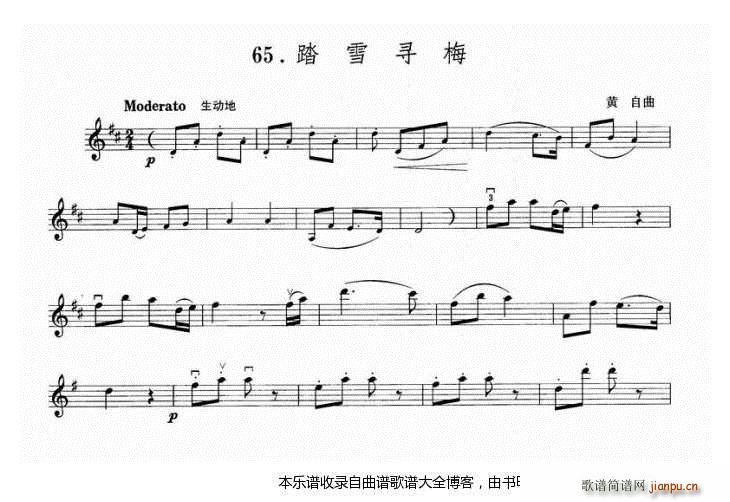 小提琴踏雪寻梅1