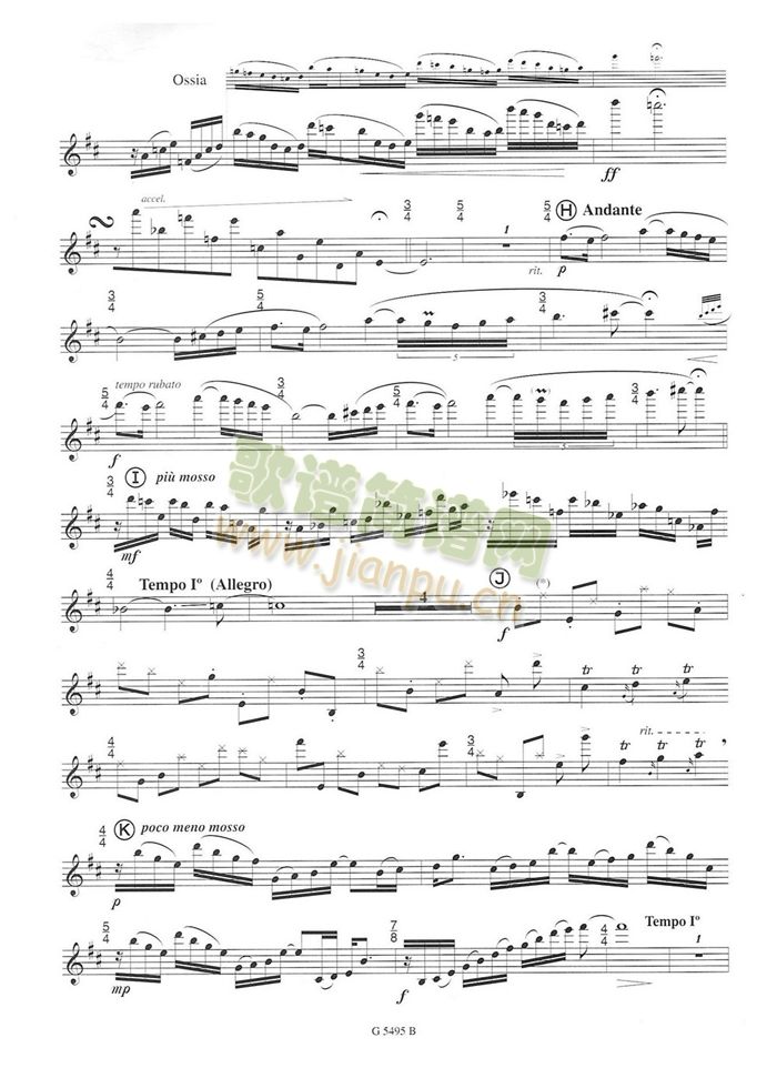 须川展也的《Fuzzy Bird Sonata》(Run, Bird)毛绒鸟奏鸣曲一3