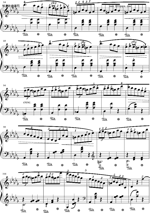 华丽的降D大调圆舞曲-小狗-肖邦4