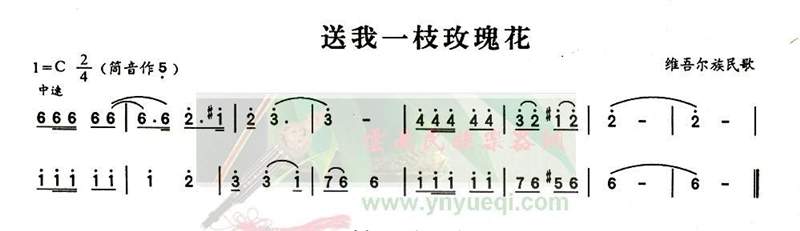 送我一枝玫瑰花1
