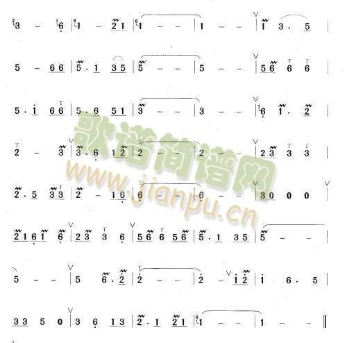 月光下的凤尾竹2