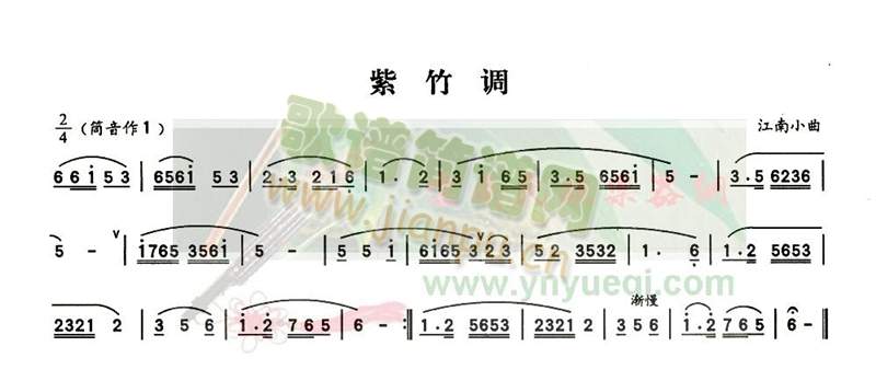 紫竹调1