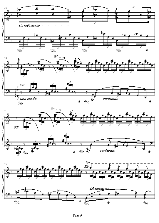 森林的呼啸6
