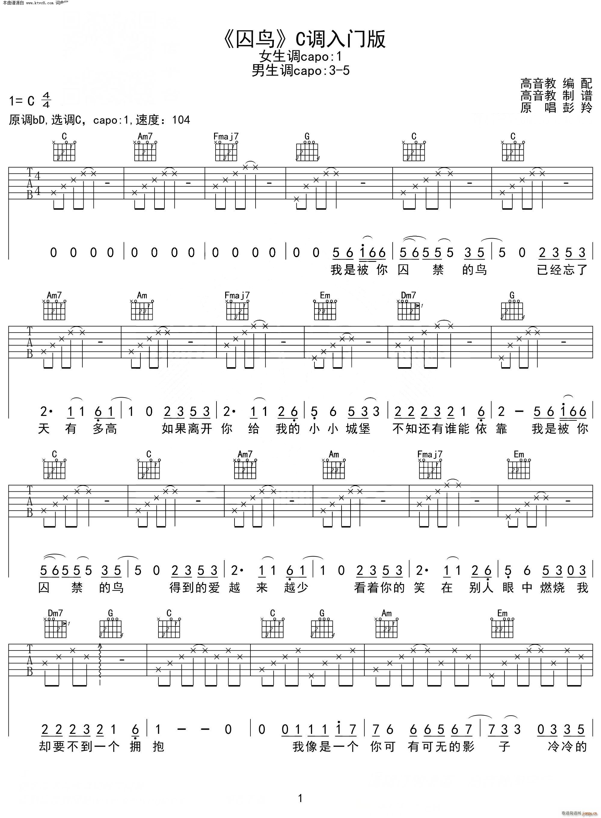 囚鸟(抖音热曲 C调入门版)1