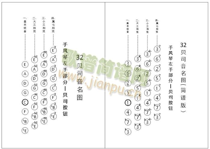 手风琴 贝司音名图2