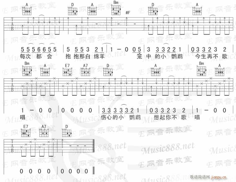 伤心的小鹦鹉_郑中基3