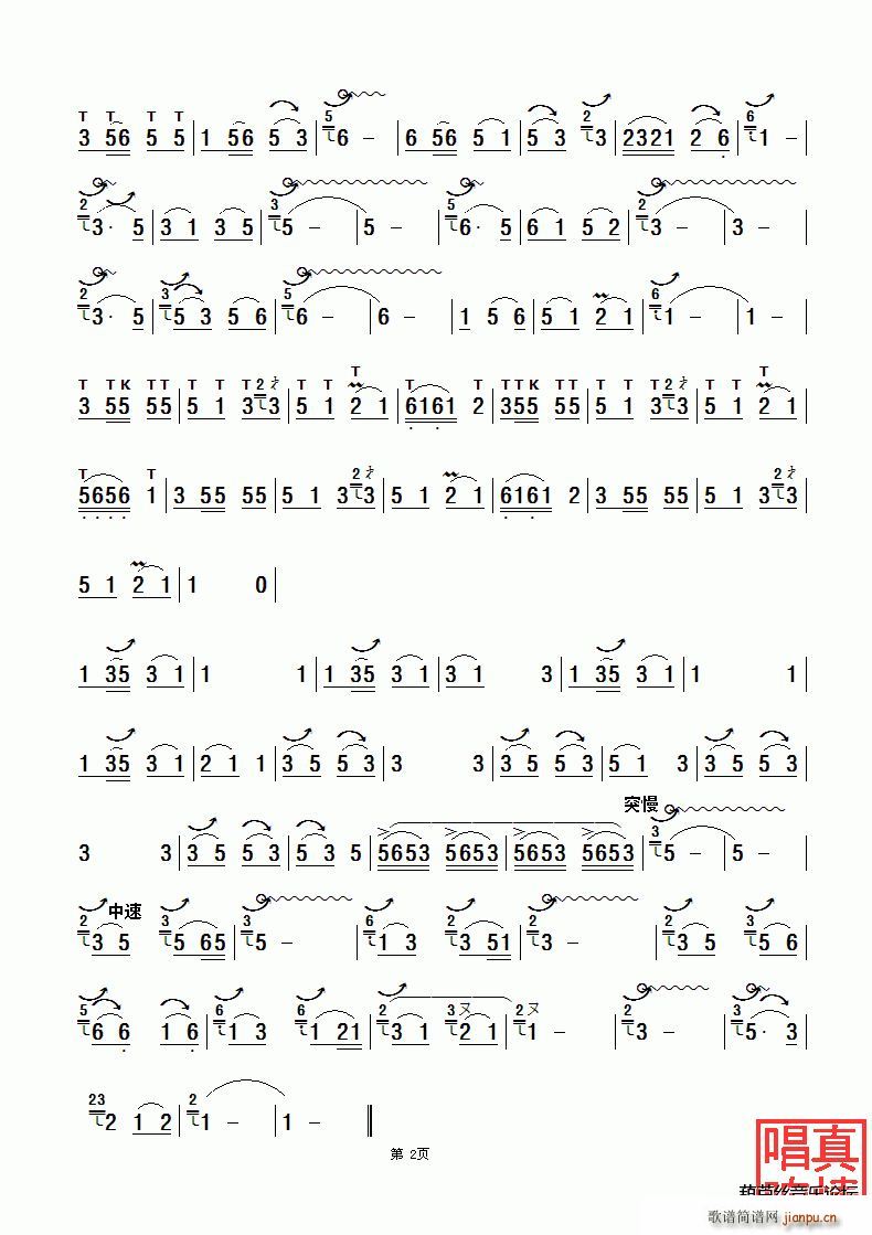 金孔雀与凤尾竹2