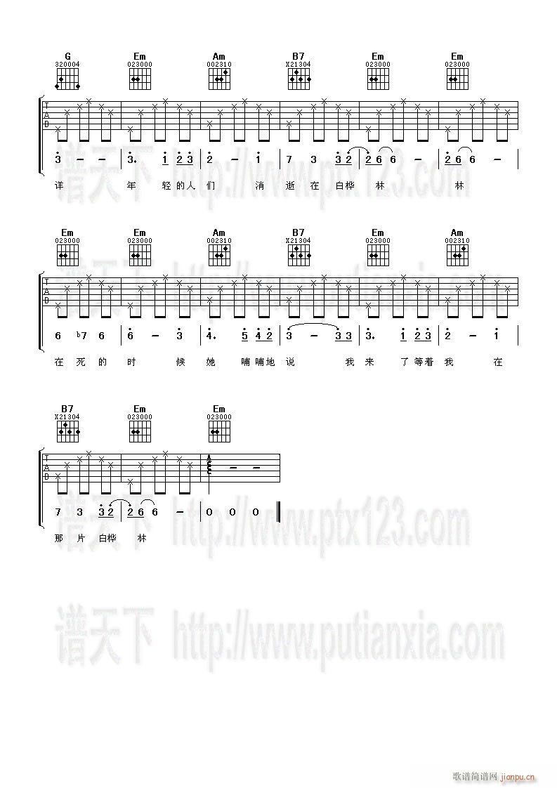白桦树_朴树3