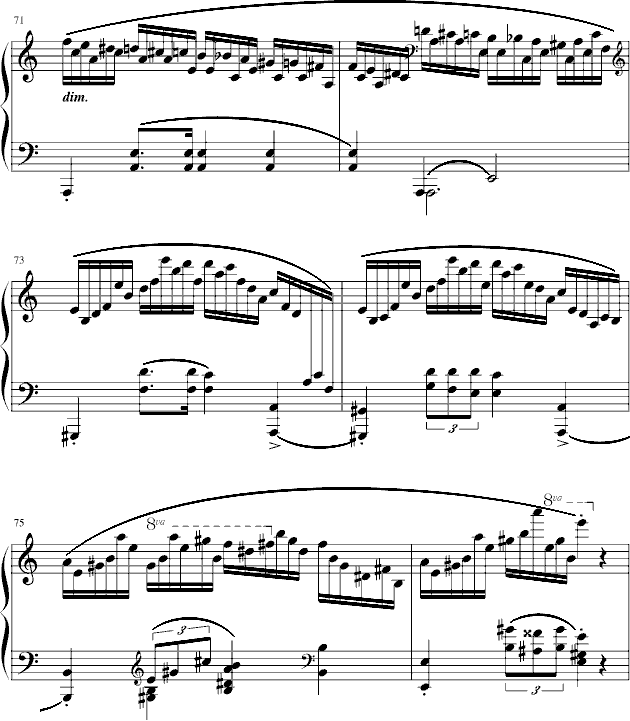 练习曲Op.25 No.1112