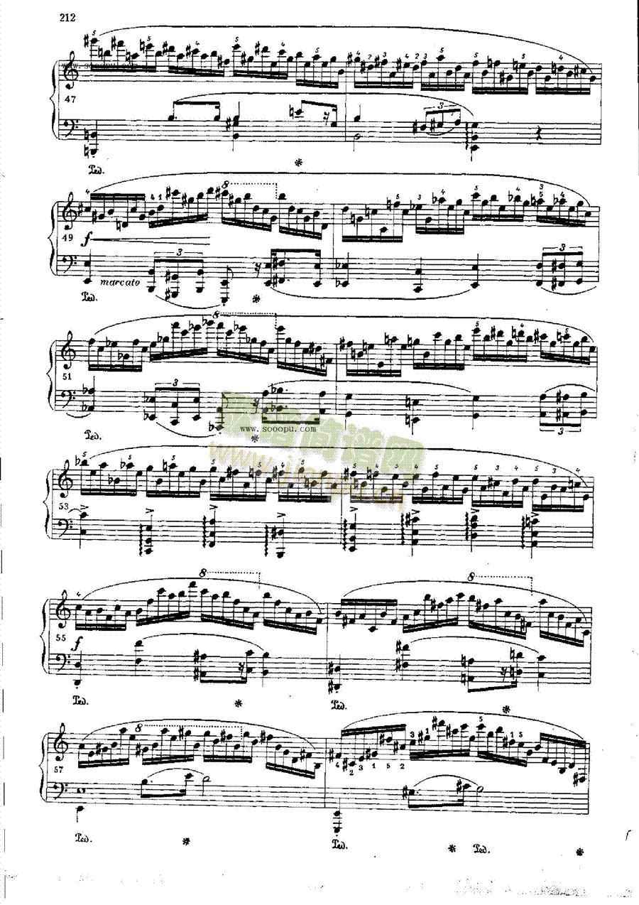 练习曲OP.25  Nr11 键盘类 钢琴5