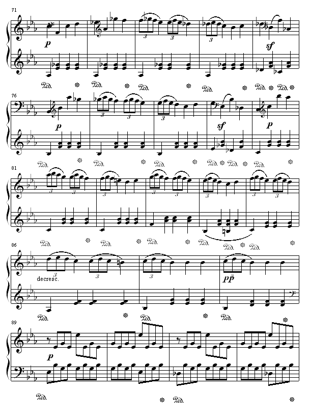 悲怆奏鸣曲第一乐章5