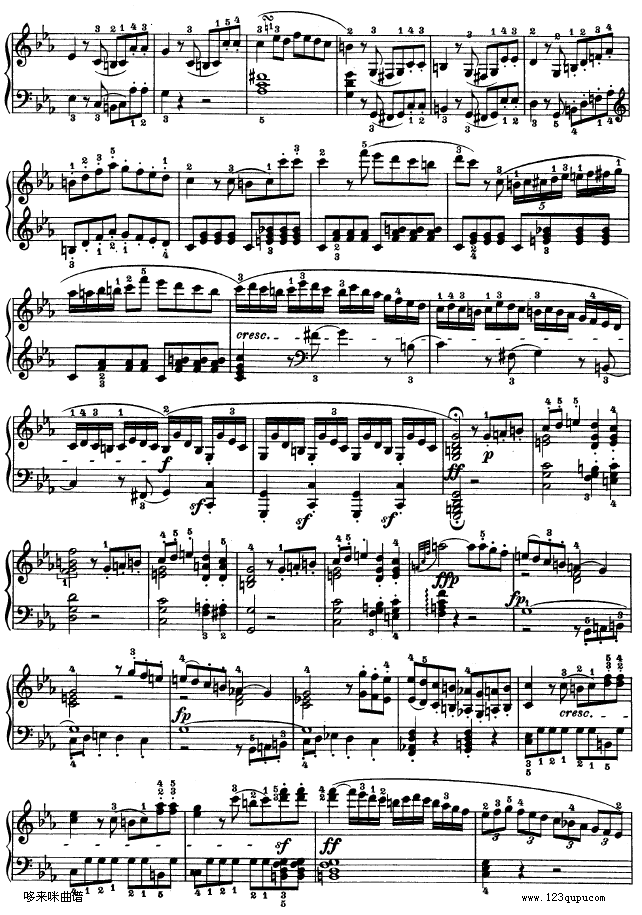 C小调第五钢琴奏鸣曲 - Op. 10―1-贝多芬13